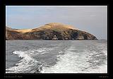 Ballestas Islands 052
